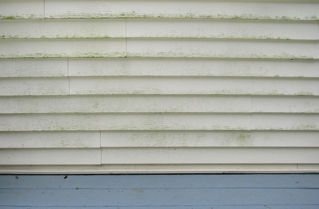 Organic Stains and Biological Growth