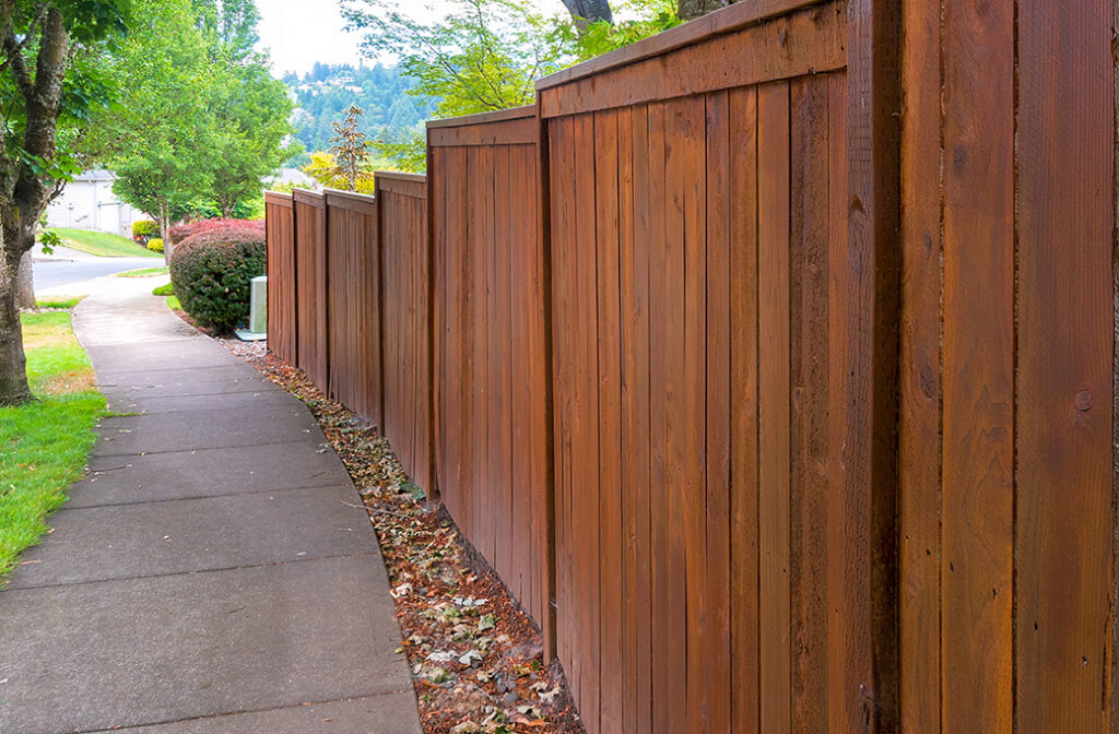 Our Painting Services